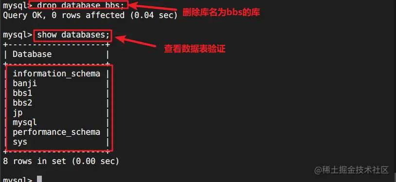 image-20220524234324478