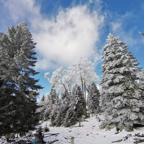 Sorin_joe于2022-11-13 17:29发布的图片