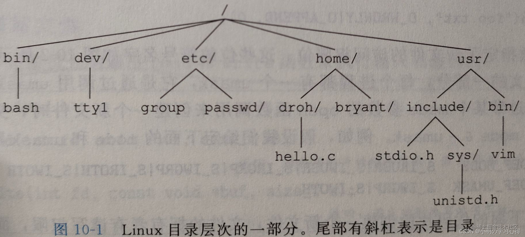 深入理解计算机系统 Csapp 系统级io 掘金