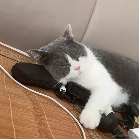 不能没有番茄酱于2023-08-22 04:02发布的图片