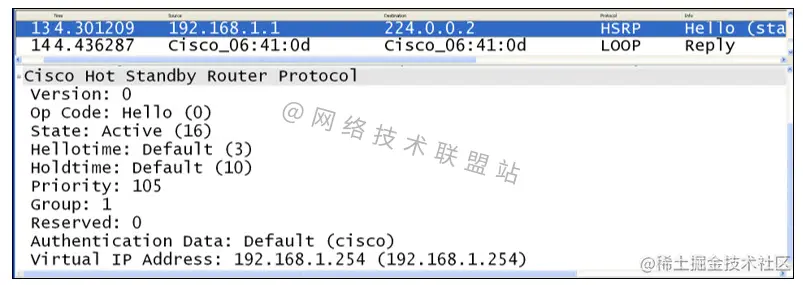 HSRP 版本 1 数据包字段