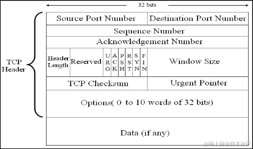 TCP segment