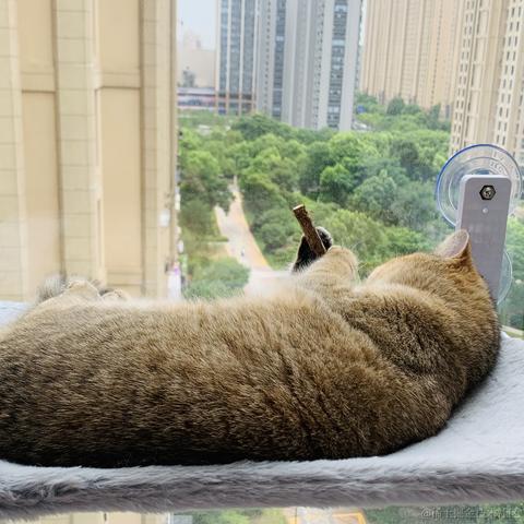 阿尼亞于2023-07-18 09:27发布的图片
