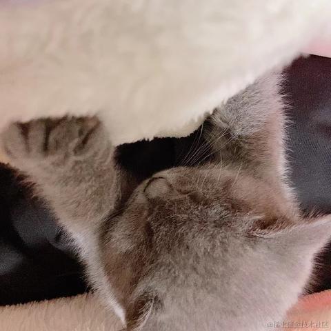小顾iOSer于2021-10-27 23:04发布的图片