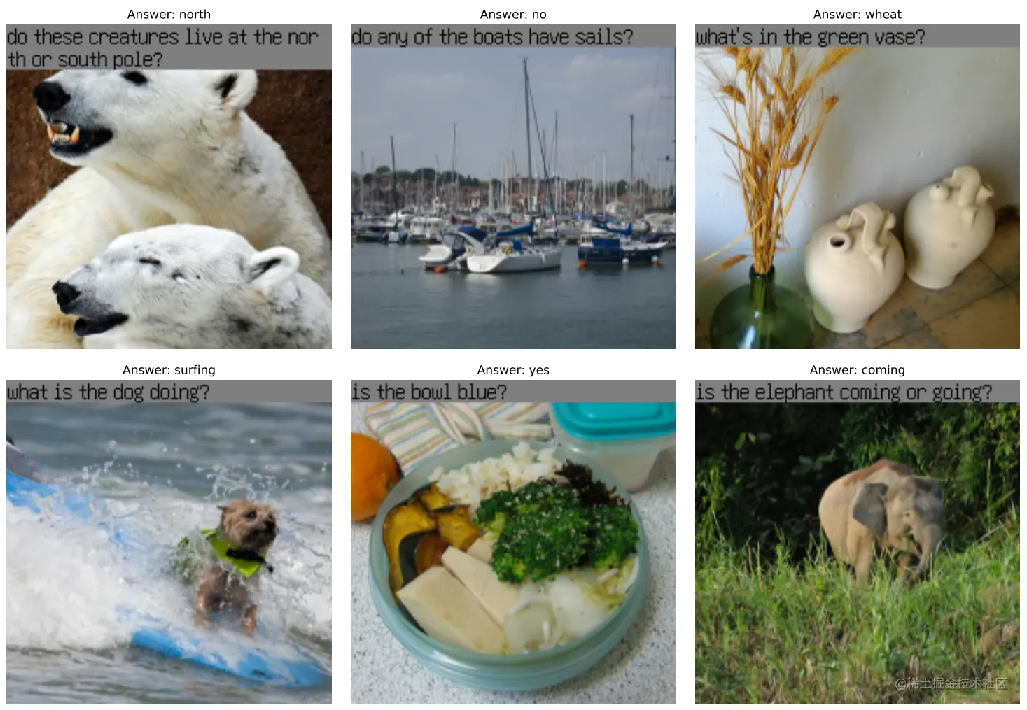 Example training images with rendered questions (black letters on gray background) from the VQAv2 dataset (image size
224 × 224).