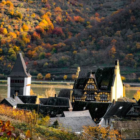 小栗帽永远的神于2022-11-26 07:29发布的图片