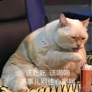 image-20220313092028334