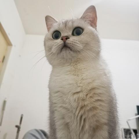 一光光一于2022-12-02 08:11发布的图片