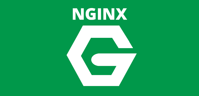 nginx-logo