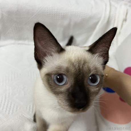 近战仙师于2022-08-11 16:10发布的图片