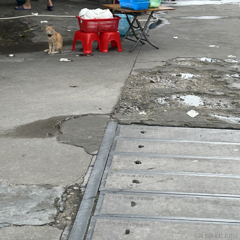 魂子于2023-07-02 11:36发布的图片