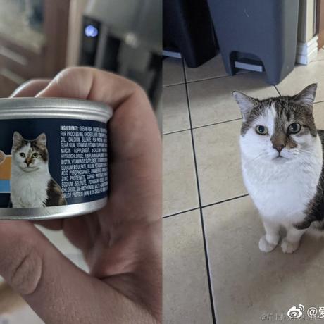 爱可可爱生活于2021-10-31 21:50发布的图片