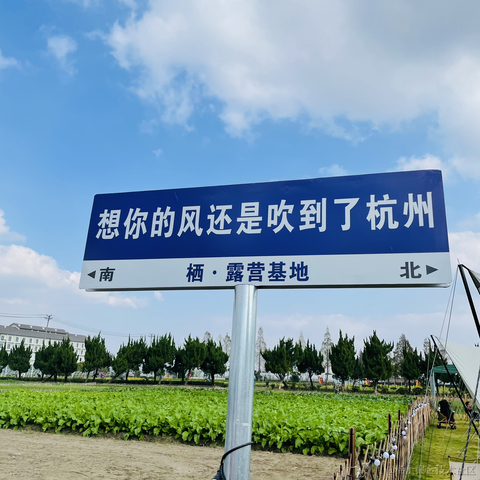 小行星i于2022-11-14 16:32发布的图片