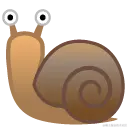 snail