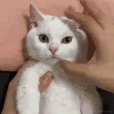 暗影岛极地大乱斗DD于2023-04-20 11:37发布的图片