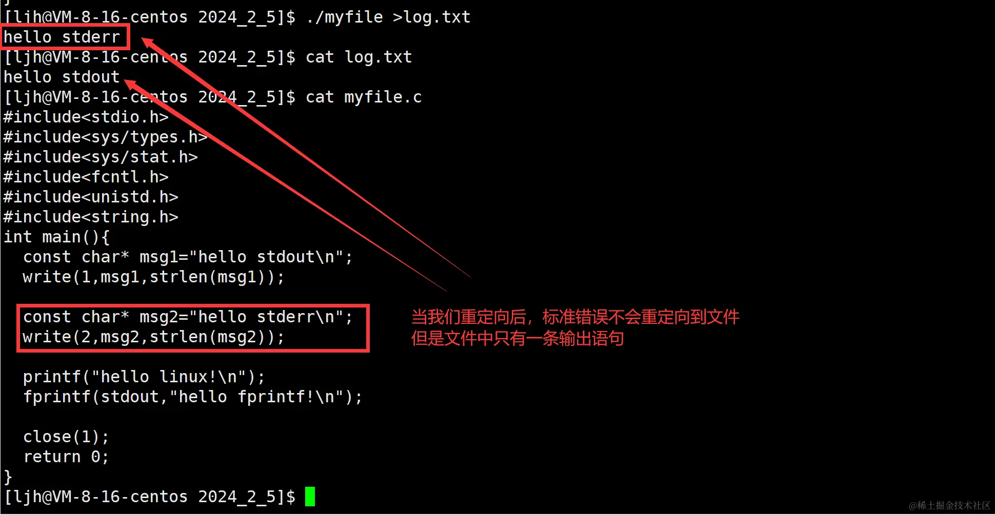 image-20240206145730954