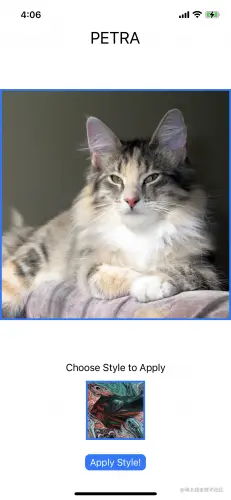 已选择图像的应用程序屏幕