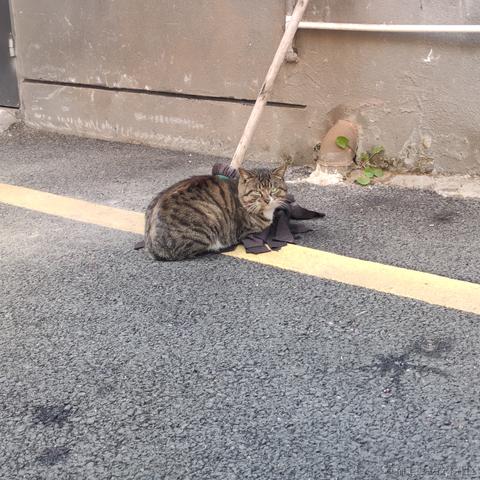 采撷红豆寄思浓于2022-12-15 16:08发布的图片