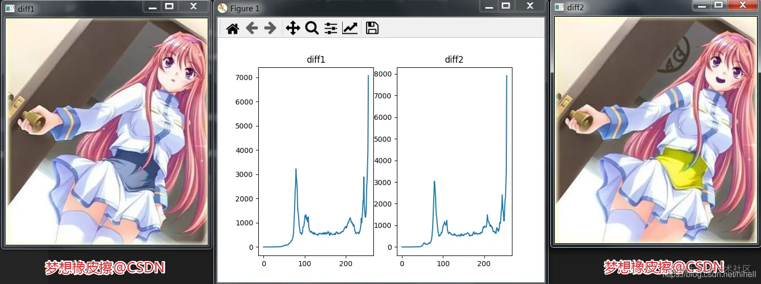 Python OpenCV 图像处理之直方图的应用，取经之旅第 24 天