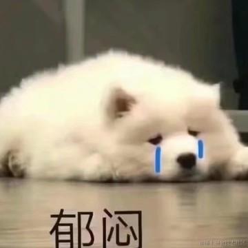 穿梭时间的画面的钟于2022-12-17 08:22发布的图片