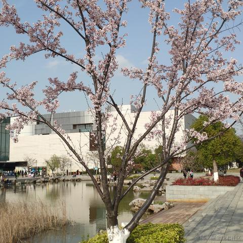 getify于2023-03-12 15:14发布的图片