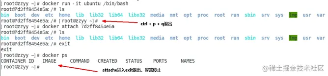 image-20220828193243231