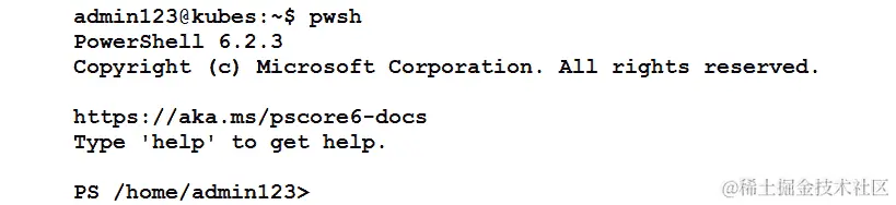 使用 pwsh 命令启动 PowerShell Core