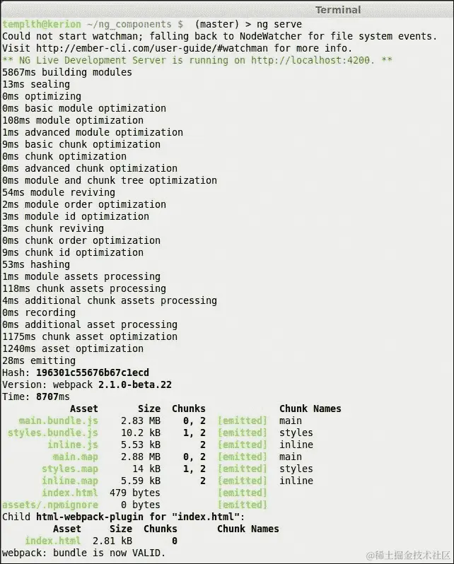生成 Angular 2 项目