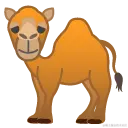 dromedary_camel