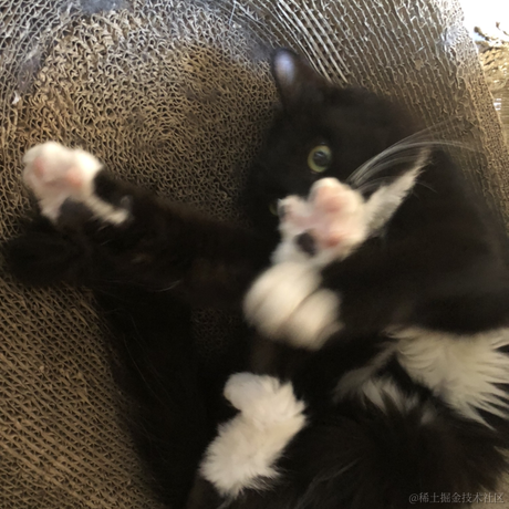 AilsaGao于2022-11-20 12:17发布的图片