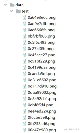 image-20220205214047841