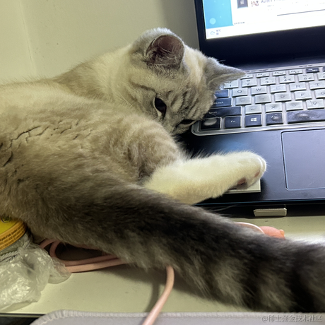 llight于2023-04-13 22:43发布的图片