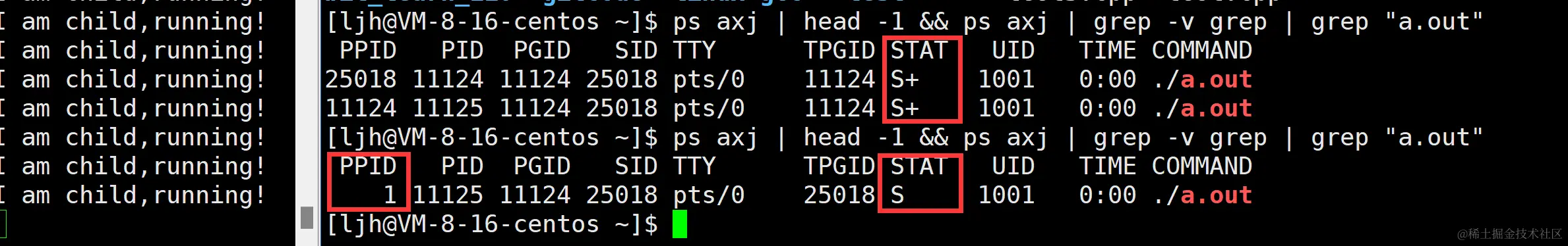 image-20240106181400778