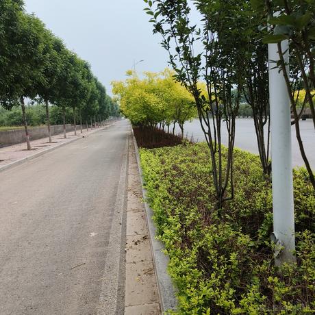 bthh于2023-05-19 07:57发布的图片