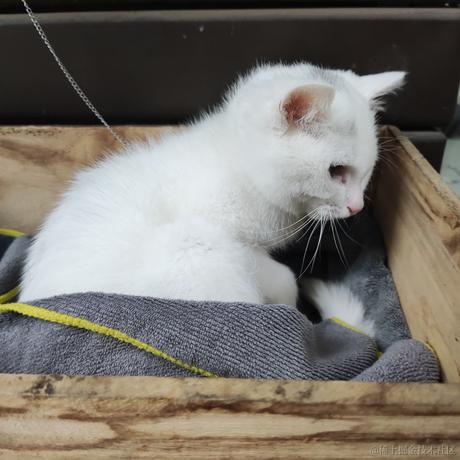 CDCD于2022-11-13 23:23发布的图片