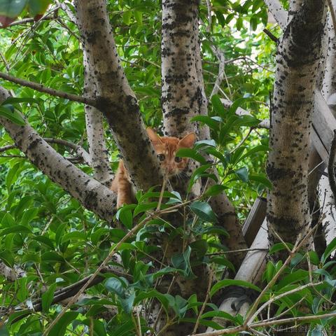 叮咚咚咚于2022-10-18 23:03发布的图片