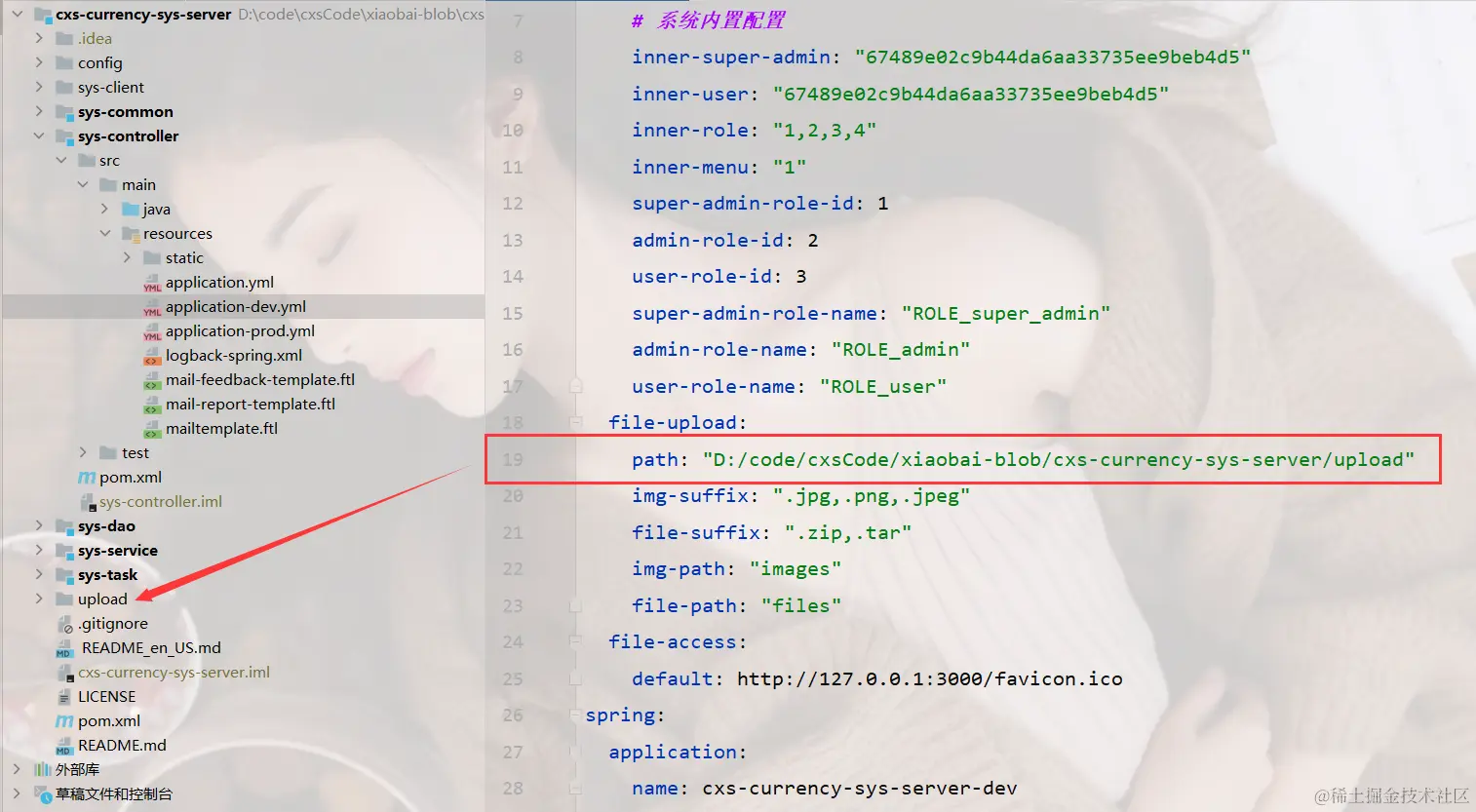 image-20240226154045239