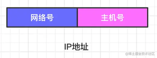 IP地址的结构.png
