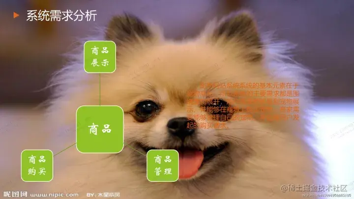 基于java的宠物网站设计与实现的论文PPT源码（包调试运行成功）