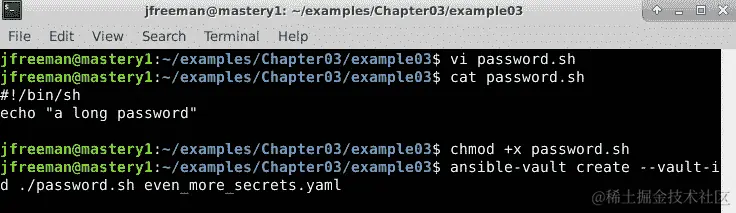 图 3.6 - 使用简单密码脚本创建 Ansible Vault 实例
