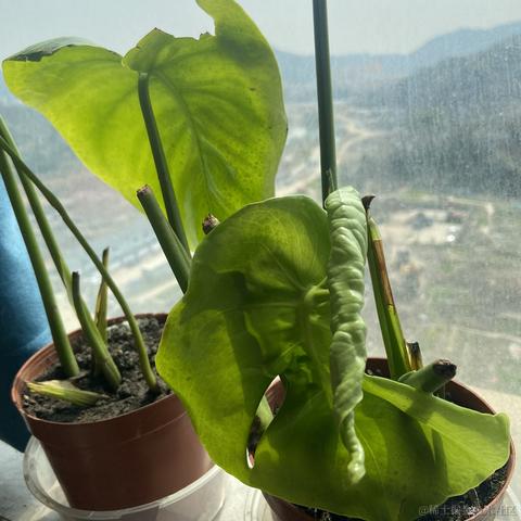 已注销于2024-03-13 12:14发布的图片