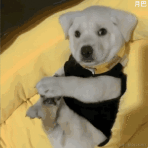 Aly于2021-12-27 15:11发布的图片