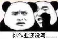 你作业没写