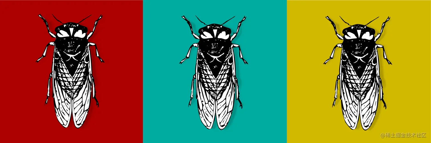 Cicada image