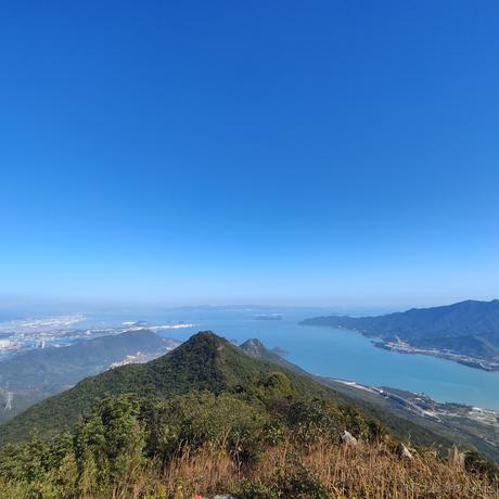 一夜鱼龙舞_于2022-12-20 14:17发布的图片