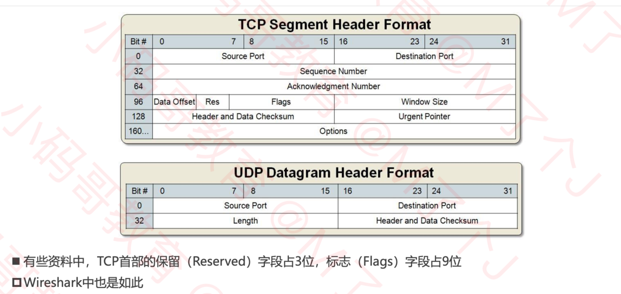 TCP首部