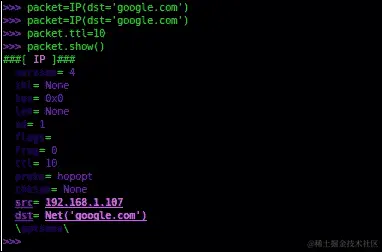 使用 Scapy 调查网络流量