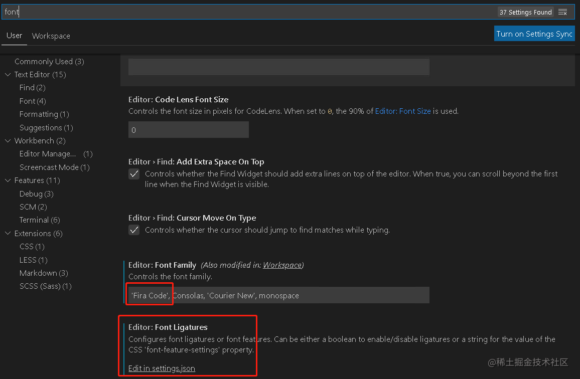 VSCode中使用程序员专用字体 Fira Code 掘金