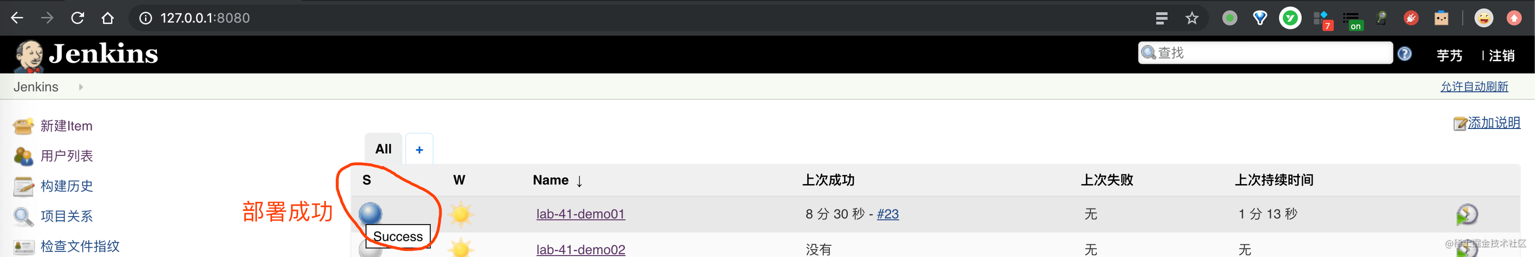 Jenkins 首页