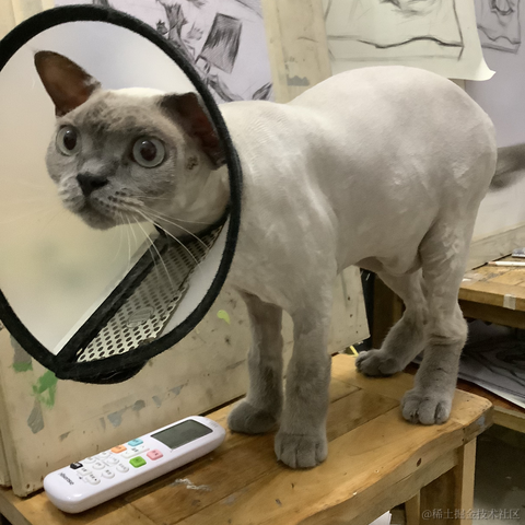 是然比不是猪比于2023-06-30 22:47发布的图片